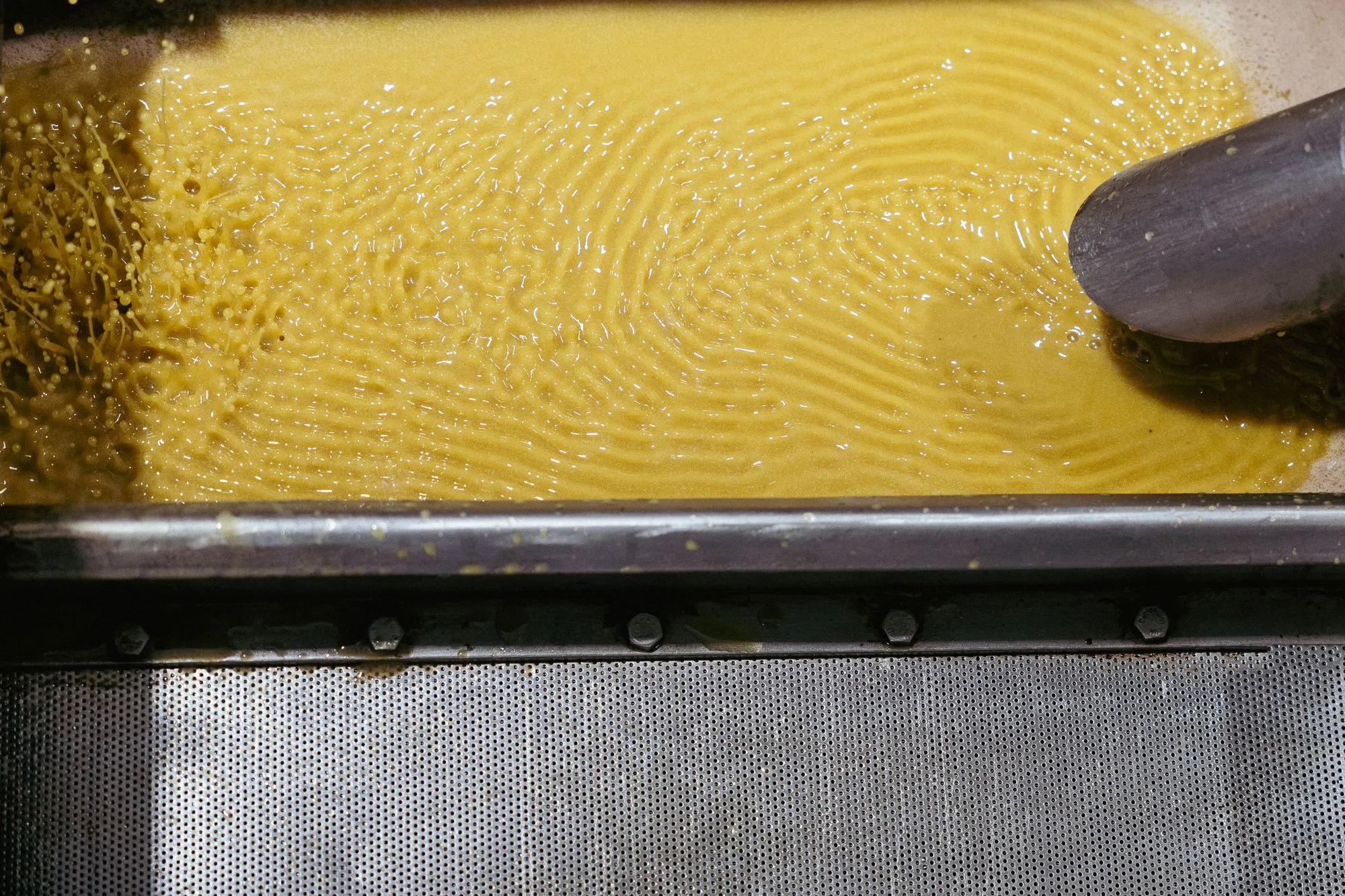 Green-gold oil rippling over the filter screen
