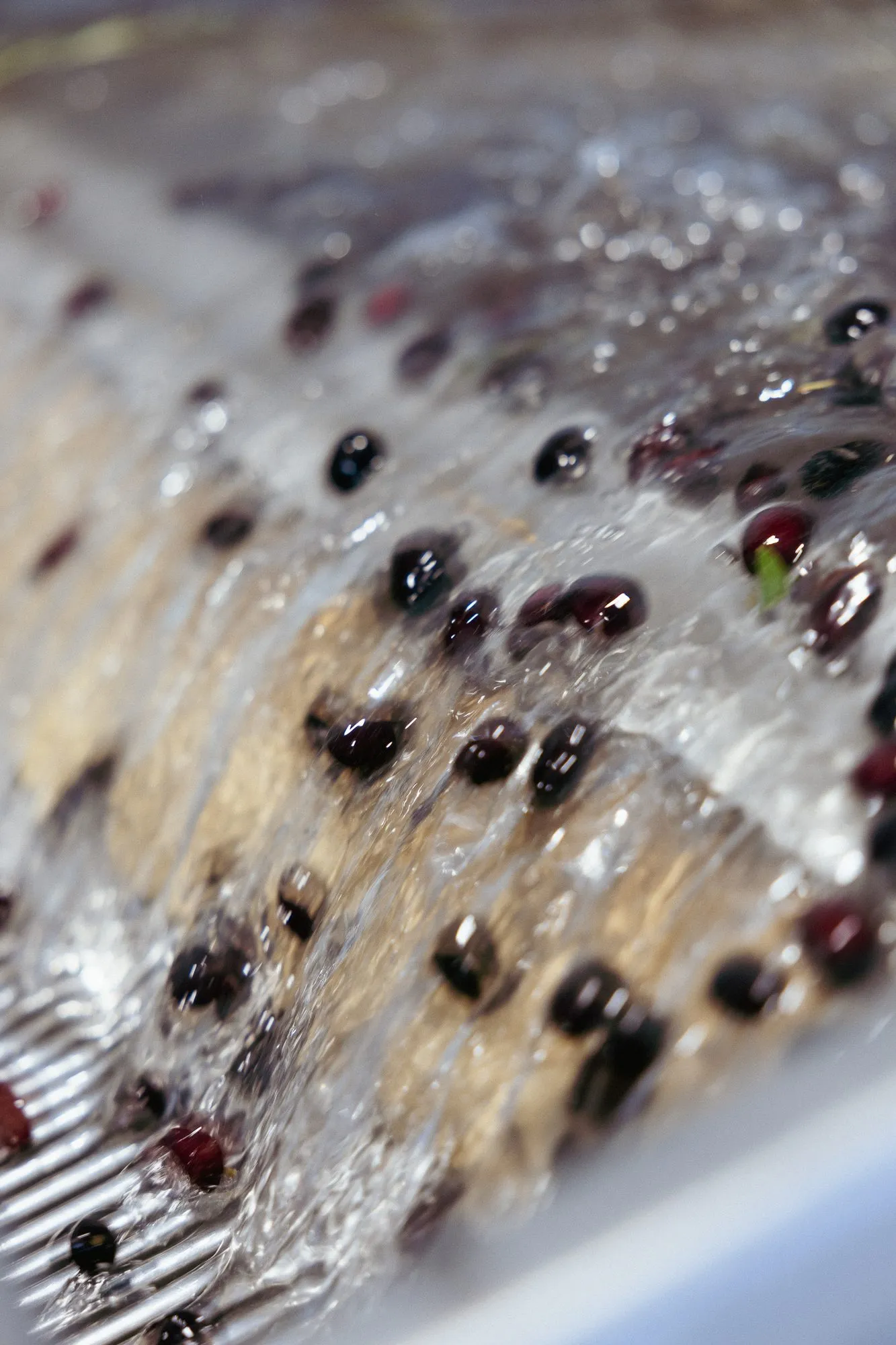 Olives tumbling through the washing cascade